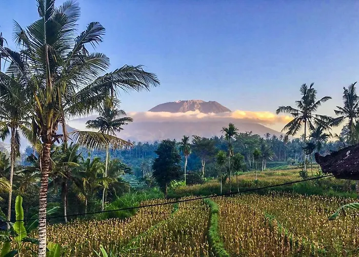 Villa Dana Bali Ricefield *