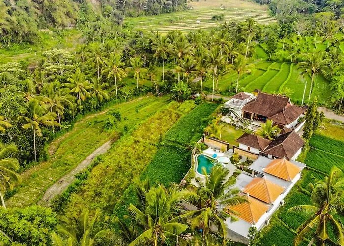 Вилла Dana Bali Ricefield